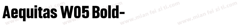 Aequitas W05 Bold字体转换